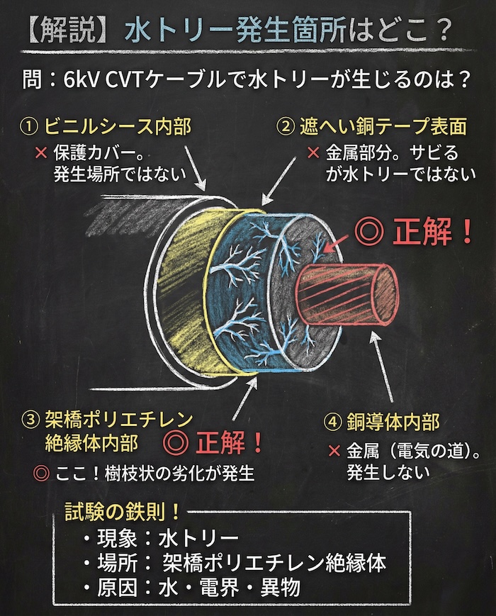 【電気工事士】高圧ケーブルの天敵「水トリー」とは？試験に出る発生箇所と原因、対策を徹底解説の問題の正誤と選択肢の図解説の黒板解説

